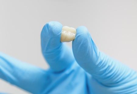 A dentist holding a tooth