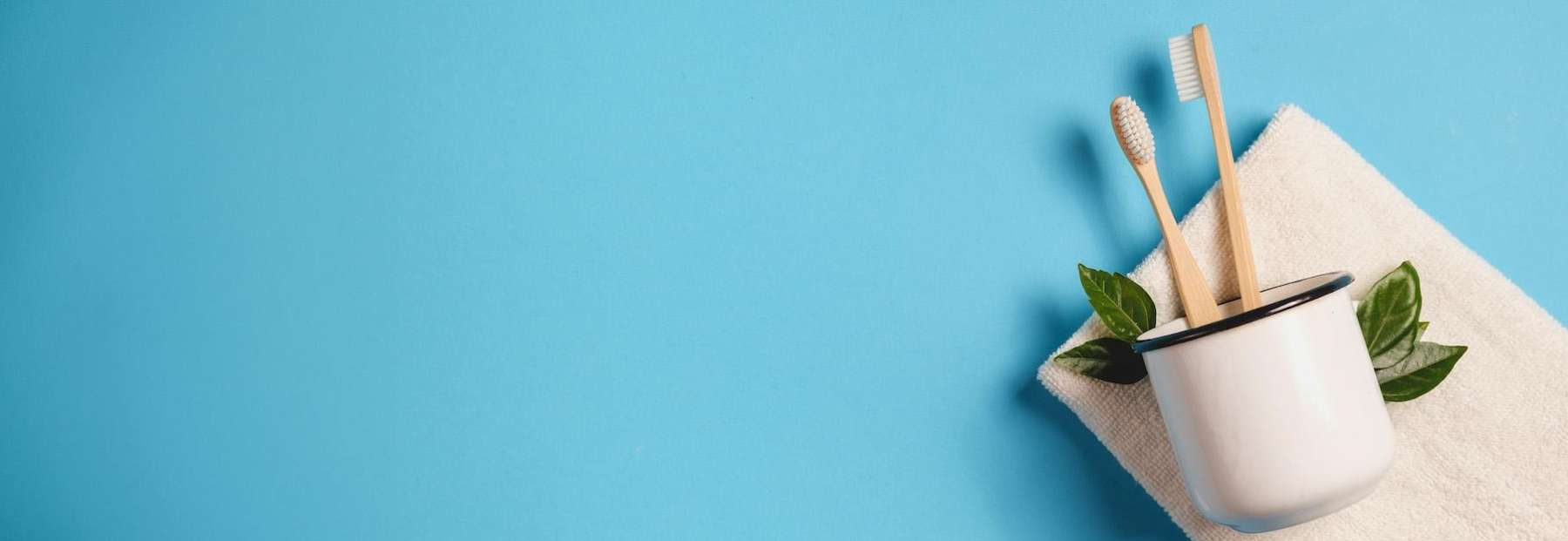 Two toothbrushes in a cup